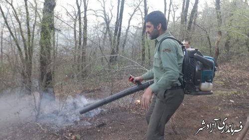 آتش سوزی جنگل های کومیان مهار شد.